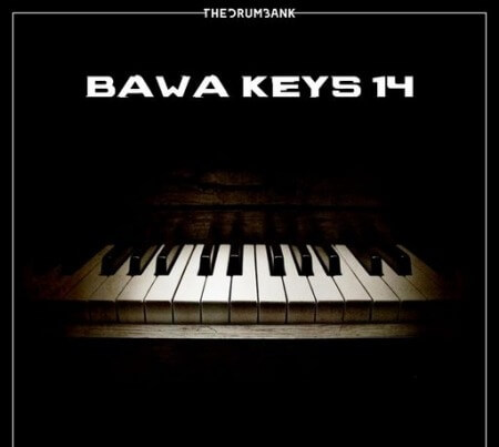 Dynasty Loops Bawa Keys 14 WAV